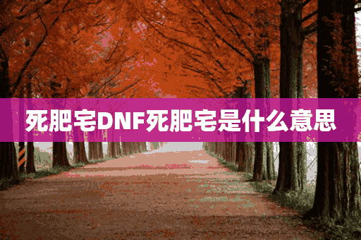 死肥宅DNF死肥宅是什么意思